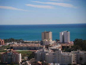 NUEVO LA TORRE